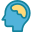 brain